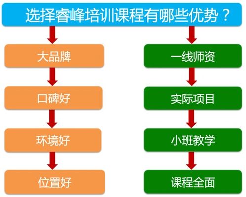 成都網(wǎng)絡(luò)營(yíng)銷培訓(xùn)與網(wǎng)絡(luò)技術(shù)服務(wù)概覽